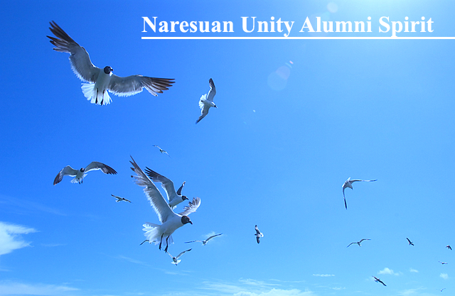 28 พ.ค. 2555 Naresuan Unity Alumni Spirit